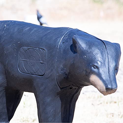 Delta McKenzie Aim Rite Bear 3D Archery Target - Self-Healing Foam, Lifelike Hunting Practice Target for Backyard, Field Points & Broadheads