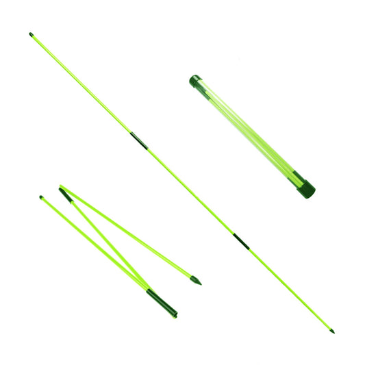 Eshan Golf Alignment Sticks 2 Pack Swing Training Aid Equipment Collapsible Trainer Practice Rods Posture Corrector in Handy Storage Tube Case for Men Women Golfer Swinging (Mint Green)