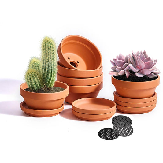 5 Inch Shallow Terracotta Pot for Succulent - 6 Pcs Small Shallow Plant Pots with Drainage Hole and Saucer Mesh Pad, Clay Plant Pottery Pots for Cactus Succulent and Other Indoor Outdoor Plants