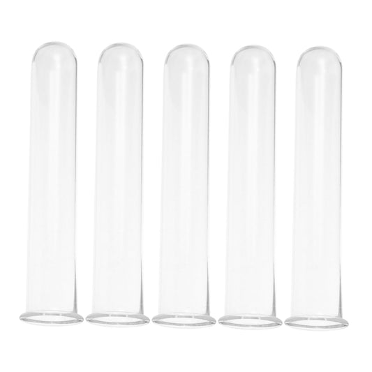 JEWEDECO 5pcs Glass Test Tubes for Plant Propagation Vase Hydroponic Floral Water Tubes Glass 2.5x3x15cm Small Terrarium Plants Home Décor