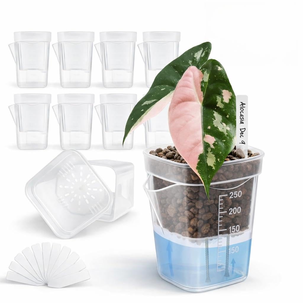 12 Pack 2.5" Clear Self Watering Pots with Wick System, Water Level Indicator & Drainage Hole, Consistent Moisture for Seedlings, Cuttings, Alocasia Corm & African Violet, 12 Plant Labels Included