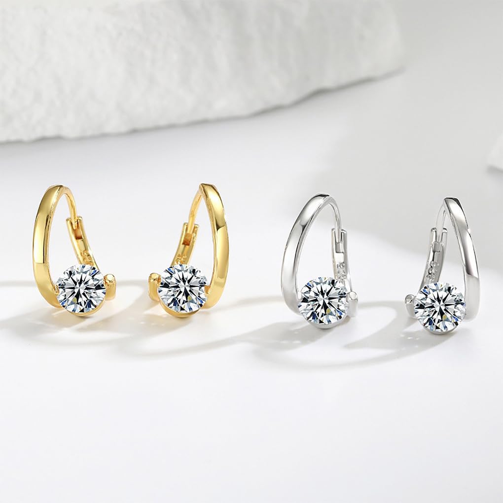 Histone Lymphvity Slimming Earrings for Weight Loss Women 2 Pairs Flysmus Drainage Germanium Earrings Minimalist CZ Hoop Earrings Charm Jewelry Gift(AC)