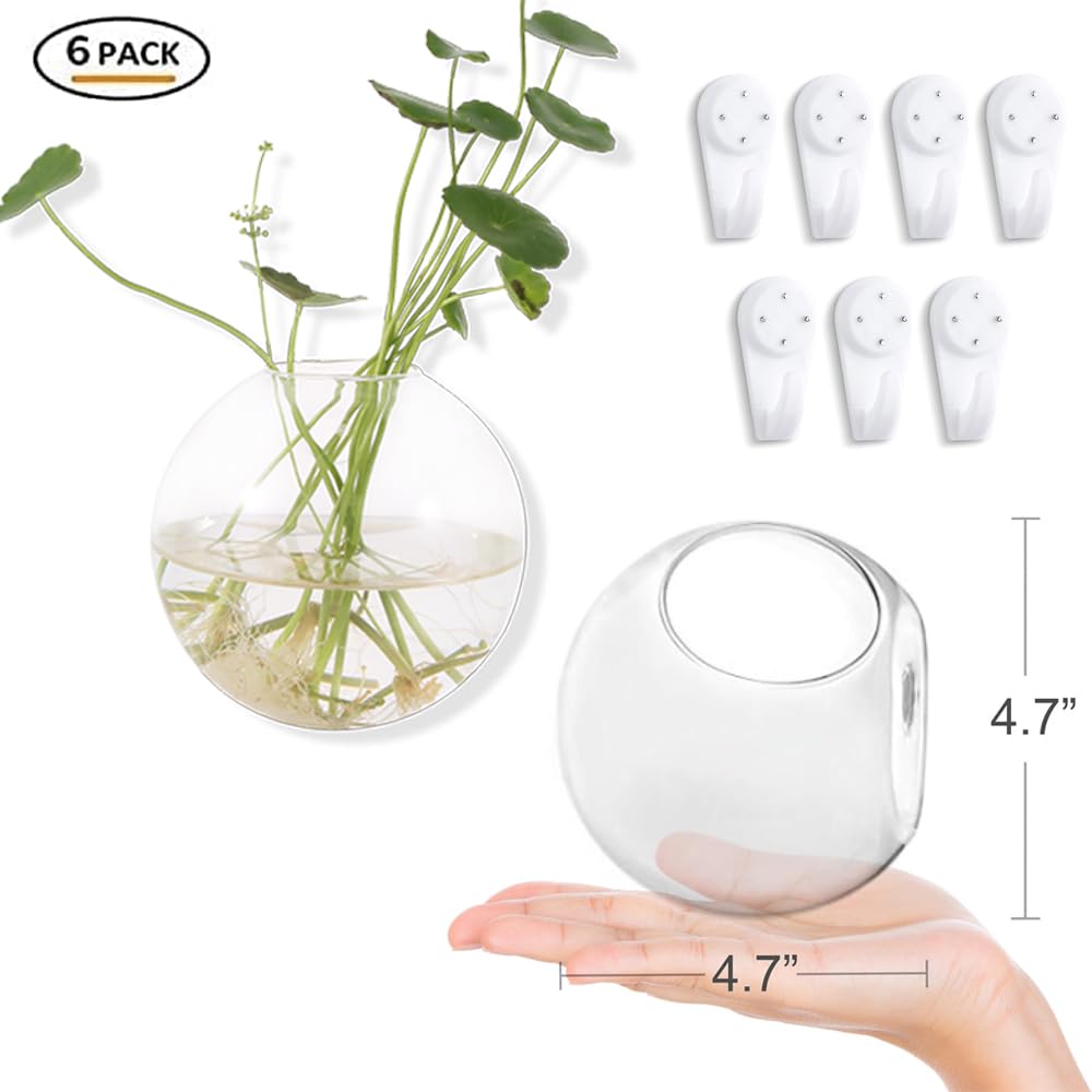 Hanging Wall Planters Pack of 6 Glass Planter Pots Round Glass Flower Vases Hanging Propagation Station Glass Plant Hanger Terrariums Wall Hanging Plant Container