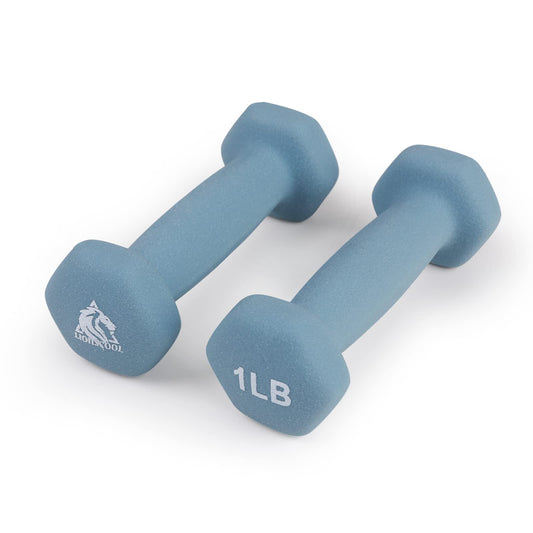 LIONSCOOL Neoprene Coated Dumbbell Weights (Sea 1lb Pair)