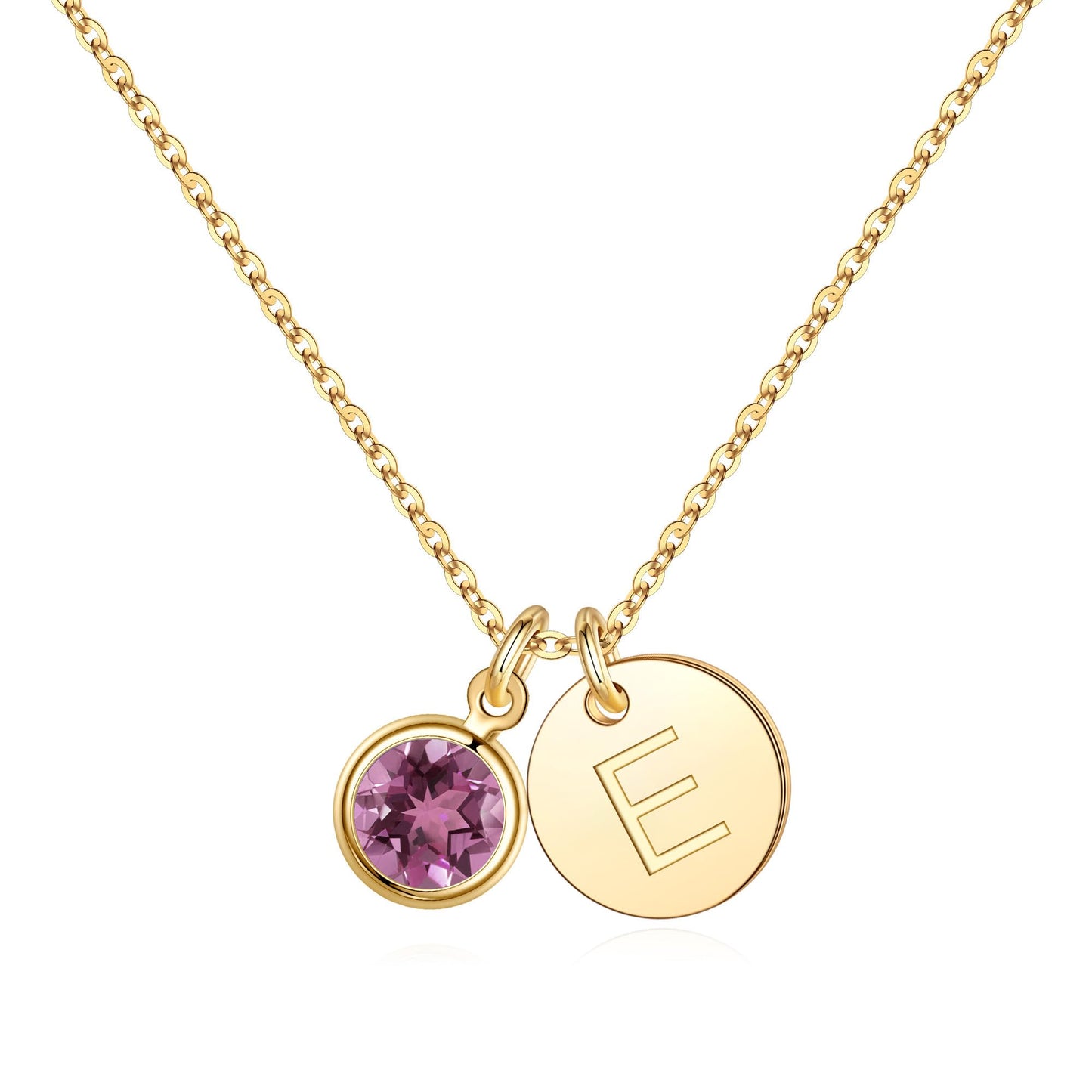 Hidepoo Initial Birthstone Necklace Gifts - Personalized Mothers Day Birthday Gift for Woman Wife Sister Grandma Mom, February Amethyst Birthstone Jewelry for Women, Disc Letter E Necklaces