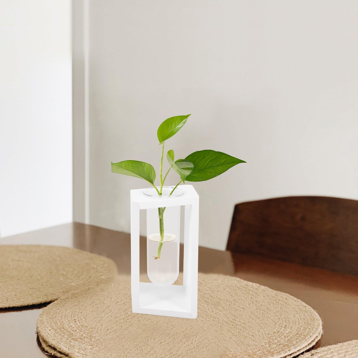 Beaupretty Wooden Frame Glass Vase Test Tubes Hydroponic Plant Propagation Station White Scandinavian Style Home Décor Desktop Terrarium for Indoor Gardening
