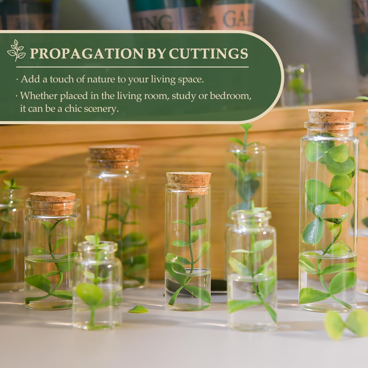 9-Pack 2.03 oz (60 ml) Glass Bottles & Test Tubes with Cork Stoppers – for Spell Jars, Spice Storage, DIY Favors, Travel Memories, Plant Propagation – Empty Recyclable Containers for Crafts, Kitchen