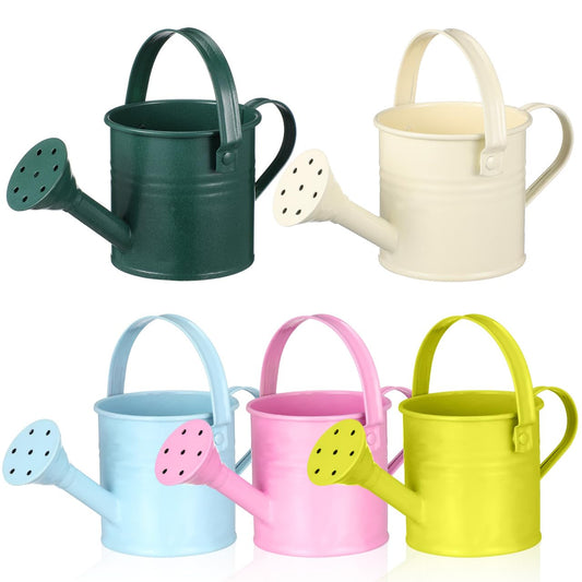 5 Pcs Kids Watering Can Bulk, Mini Metal Watering Can with Long Spout, Small Iron Watering Pots for Indoor Plants, Kids Gardening Tools (Random Color)