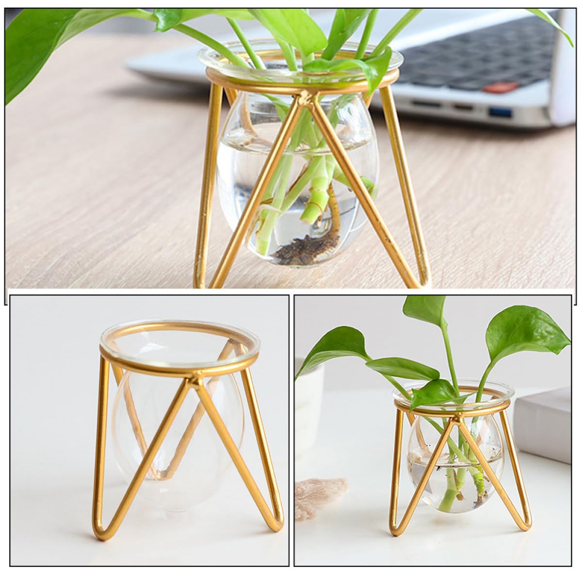 VICASKY Hydroponic Glass Plant Container with Metal Stand, Small Gold Desktop Flower Vase for Air Plants and Terrarium Décor, Glass Hydroponic Pot for Wedding and Office Use