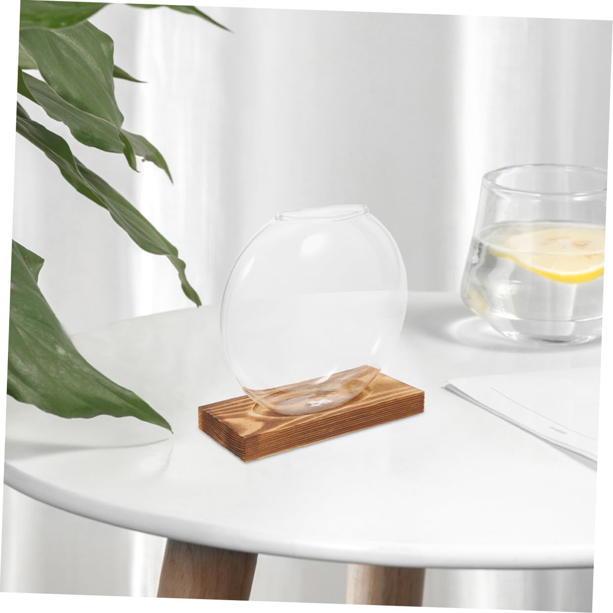 Ipetboom 2pcs Small Glass Propagation Vases with Wooden Base, Hydroponic Plant Terrariums for Home Office Desk, Glass Planter Suitable for Indoor Plant Cultivation