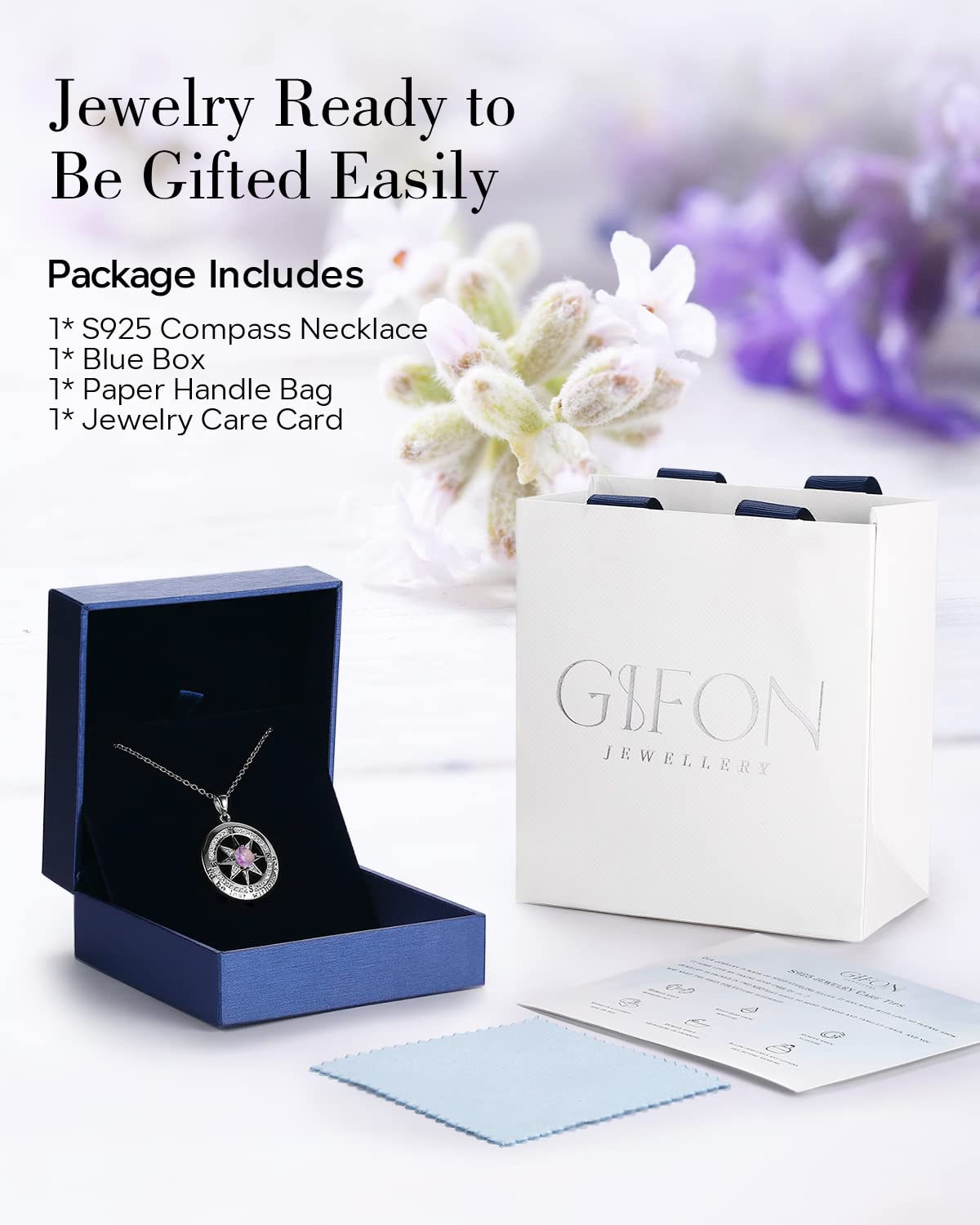 S925 Sterling Silver Necklace for Wife, Women Anniversary Year Gifts Compass Jewelry, Birthday Gift Ideas for Her Girlfriend, Wedding Present, 18K White Gold February