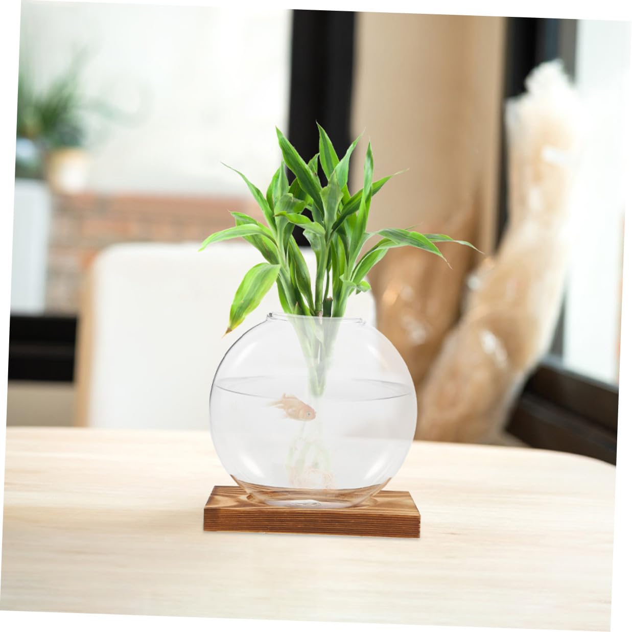 VALICLUD Glass Plant Propagation Station with Wooden Base, Hydroponic Small Glass Vase for Indoor Plants, 2pcs Terrarium for Home and Office Décor