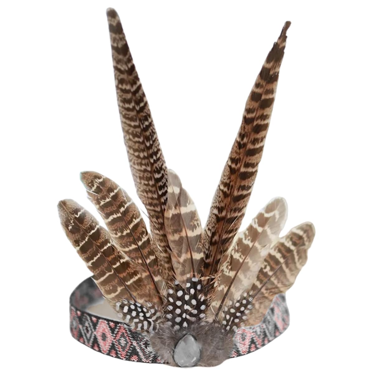 Female Pheasant Feathers Bulk 10pcs,Natural Long 8-10 inch (20-25cm) Feathers,for Crafts DIY Party Festival Centerpieces and Hat Clothing Decoration (Female Pheasant)