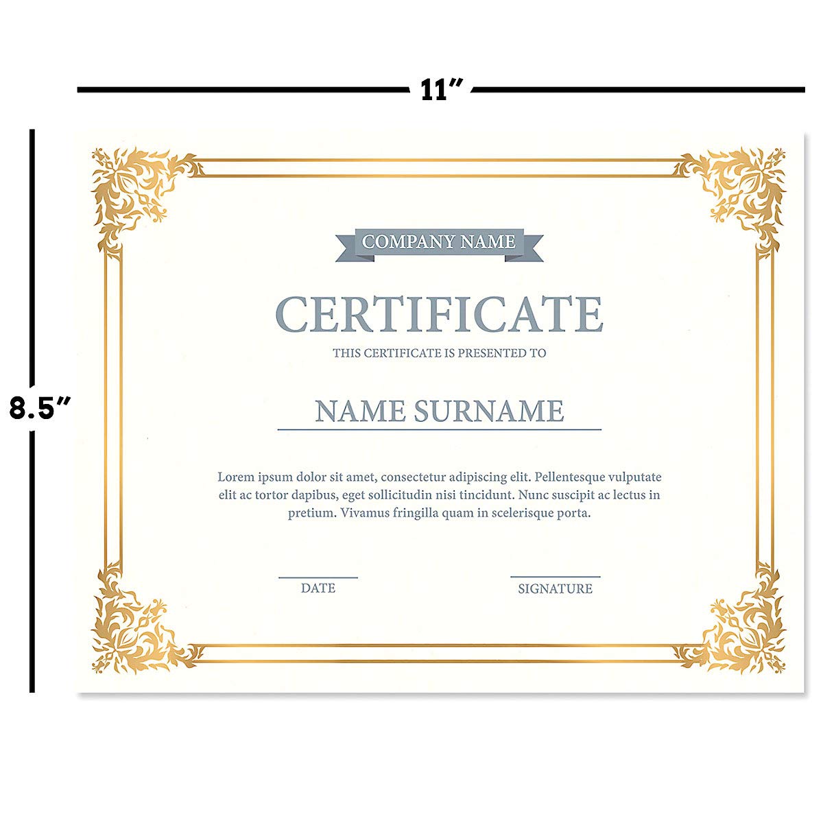 Empire Gold & White Parchment Certificate Papers - Pack of 25, NOT FOIL Laser & Inkjet Printer Compatible, for Office, Business Awards, Graduation, School Diplomas, 8-1/2" x 11" on 60 lb. Text Stock