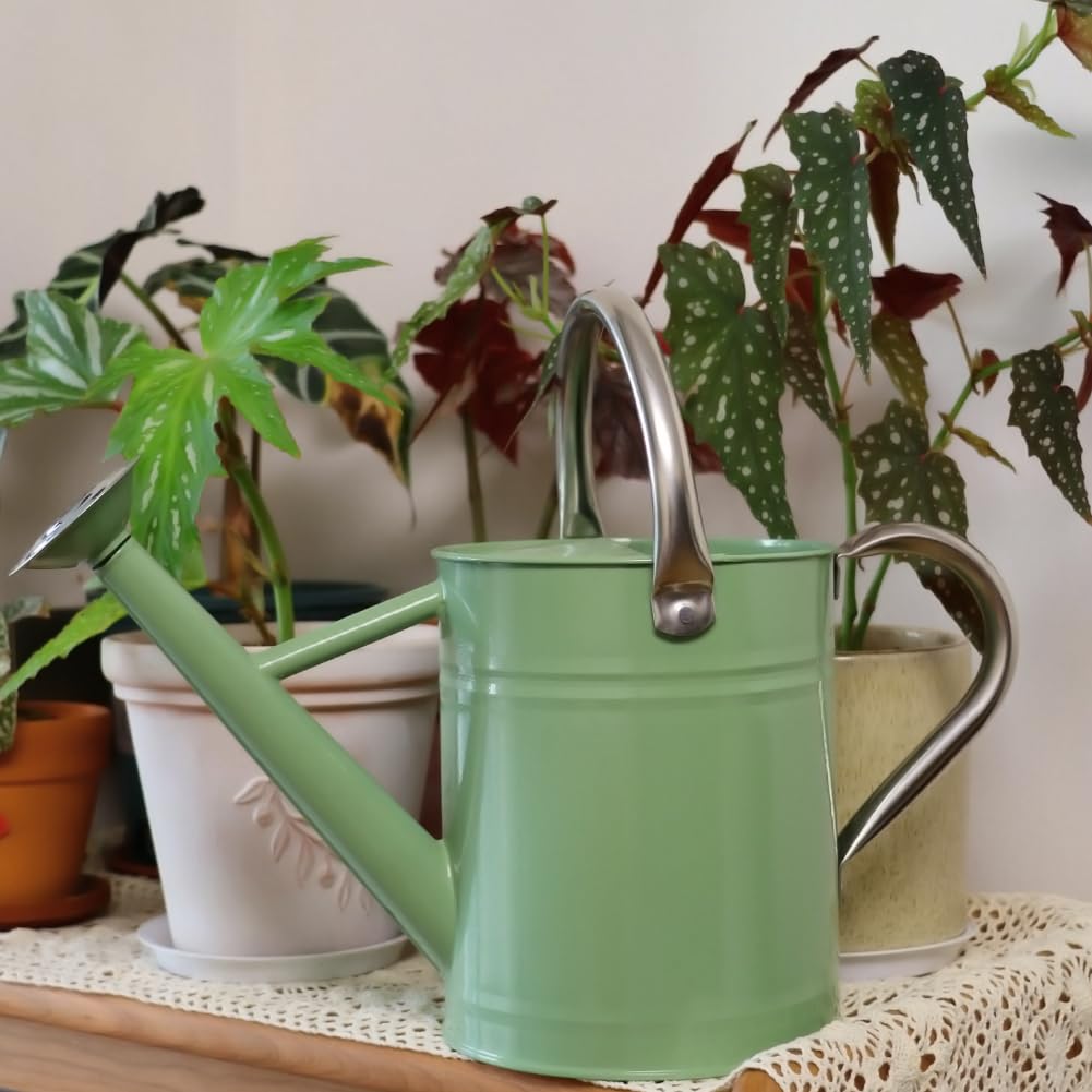 yourjoy Metal Watering Can, One Gallon Watering Cans Stainless Steel for Outdoor Indoor Garden Plants Watering (Cream Green)