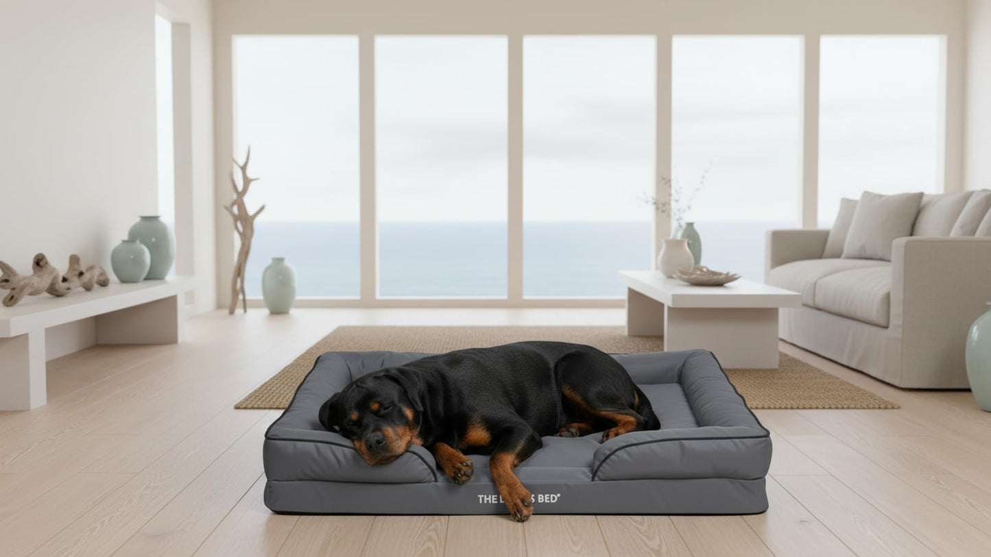 The Dog’s Bed Supportive Egg Crate Foam Dog Bed for XXL Dogs, Grey Oxford - Washable Bolster Dog Bed with Removable Waterproof Liner, Non Slip Base, Sofa Style Pet Bed