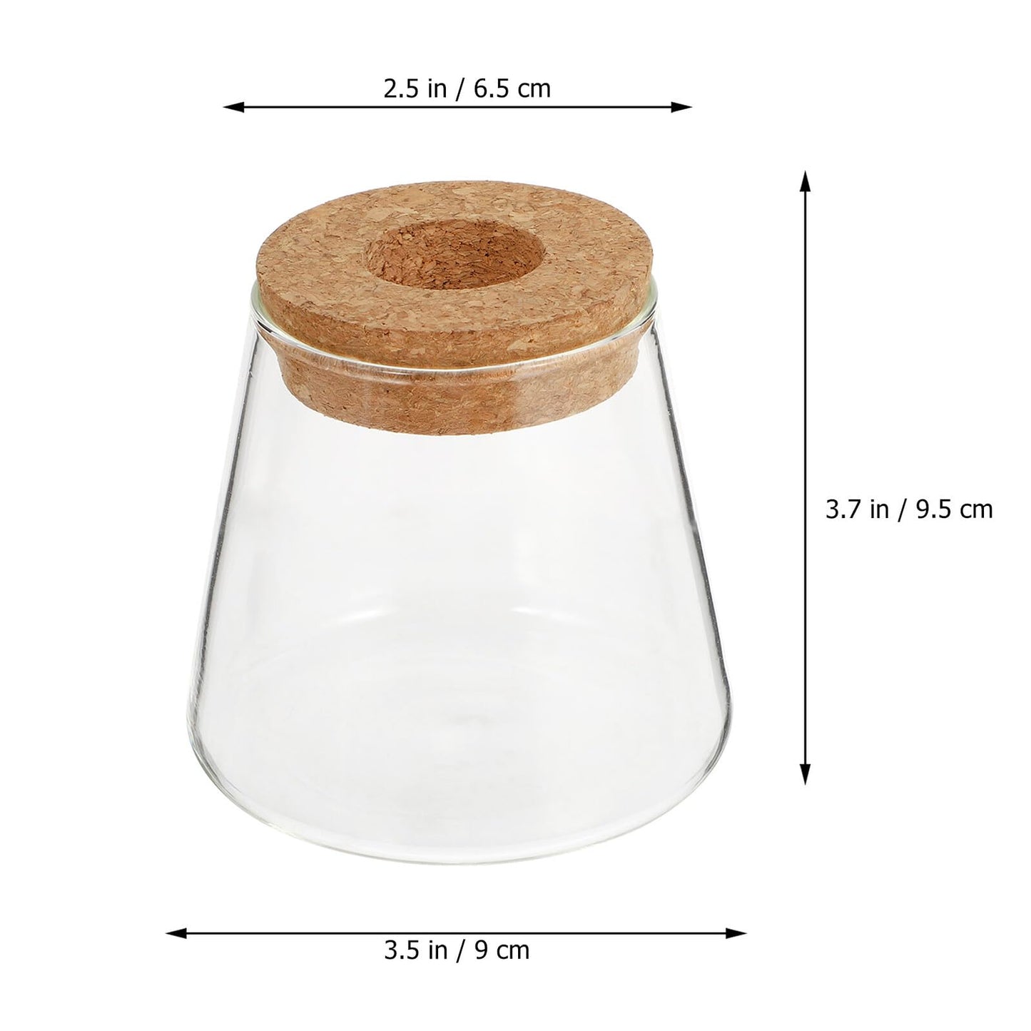 DOITOOL 2pcs Hydroponic Glass Planting Pots Small Terrarium Vase with 6.5cm Opening for Indoor Garden Decoration and Water Plant Propagation
