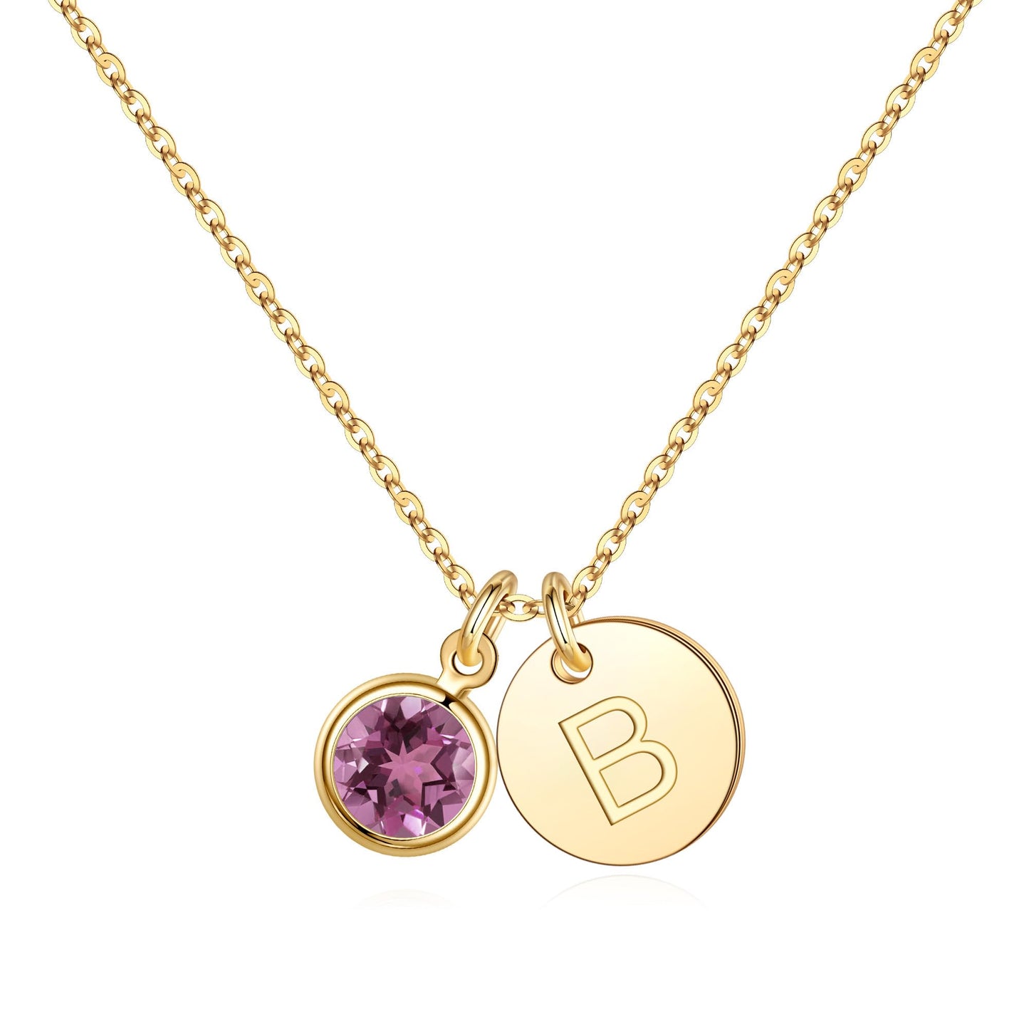 Hidepoo Initial Birthstone Necklace Gifts - Personalized Mothers Day Birthday Gift for Woman Wife Sister Grandma Mom, February Amethyst Birthstone Jewelry for Women, Disc Letter B Necklaces