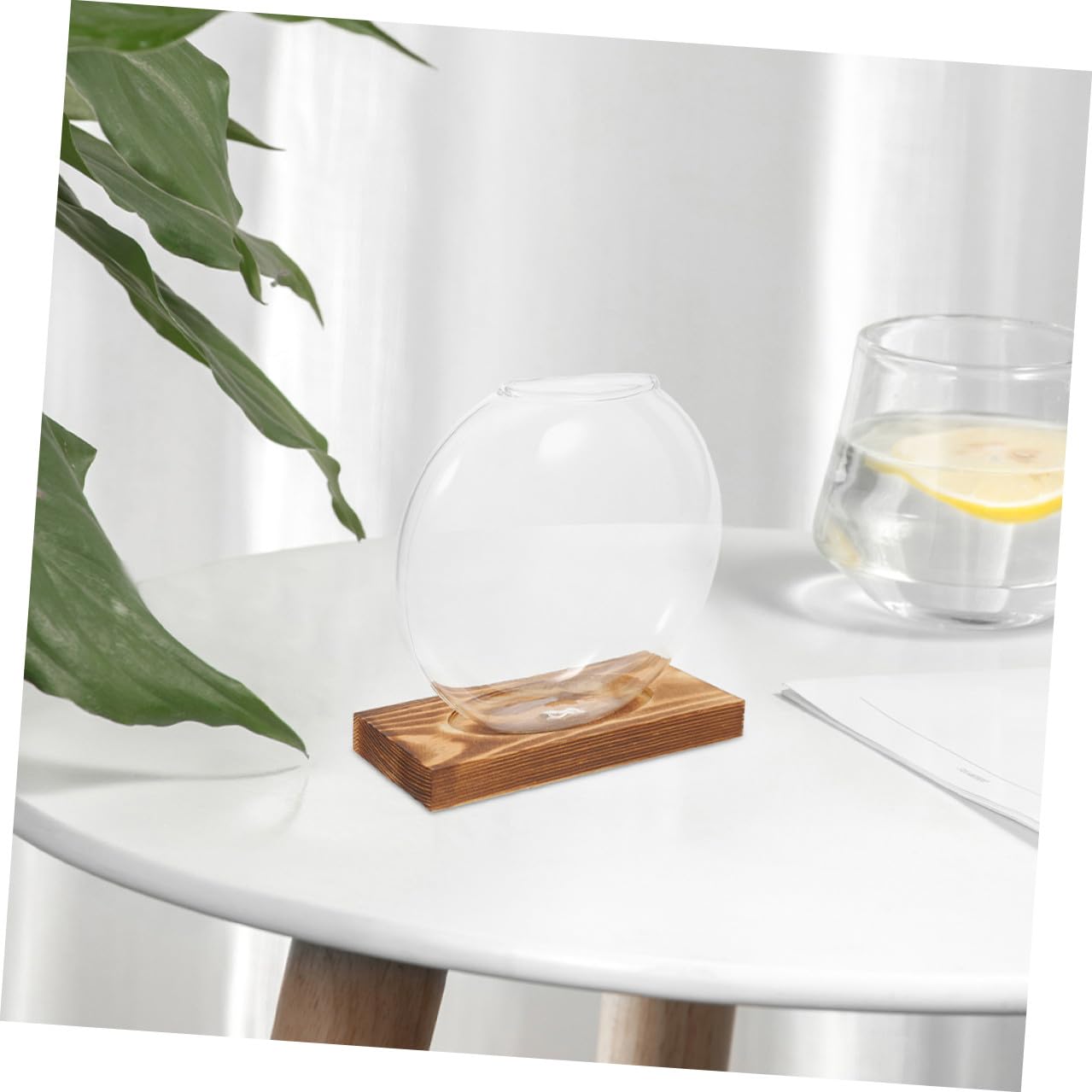 JUMPLAWN 2pcs Hydroponic Glass Vases with Wooden Bases for Desktop Plant Propagation Plant Terrariums Suitable for Home Office Balcony Decorative Glass Containers for Indoor Water