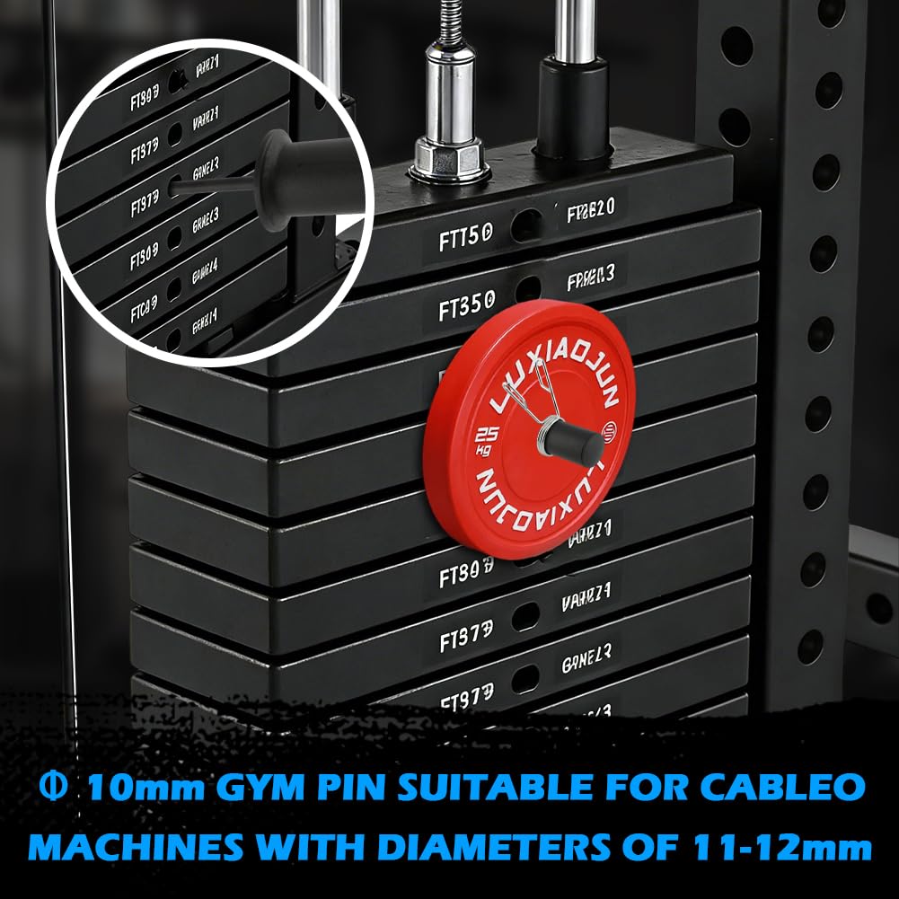LZQMRVAK Weight Stack Pin Extender, 110 lbs Capacity – Fits Home/Commercial Gyms, 10mm Gym Pin with Spring Clip Collar for Weight Stacks, Smith Machines & Fitness Rigs