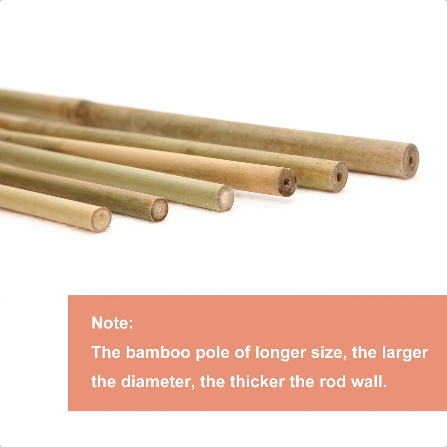 COLOtime Bamboo Stakes 2FT Garden Stakes Plant Stakes for Indoor Potted Climbing Plants Poles Sticks Support Peppers Orchid Daffodils 30 Pack