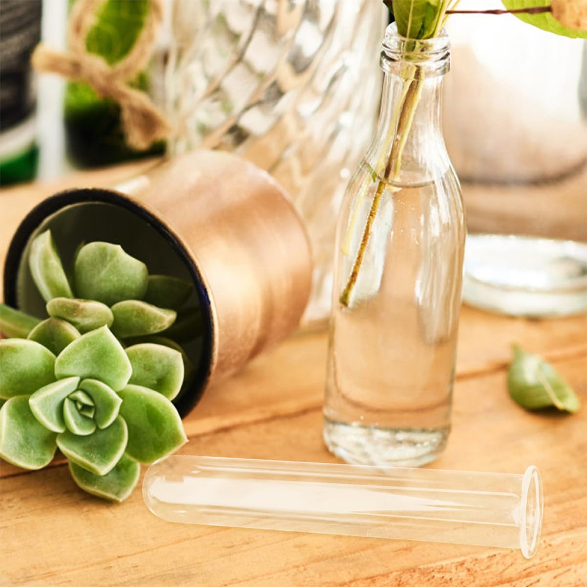 VALICLUD 4Pcs Glass Plant Tubes Propagation Vase Set 2.5X3X18Cm Hydroponic Test Tube Holders for Desk Terrarium Home Office Plant Propagation