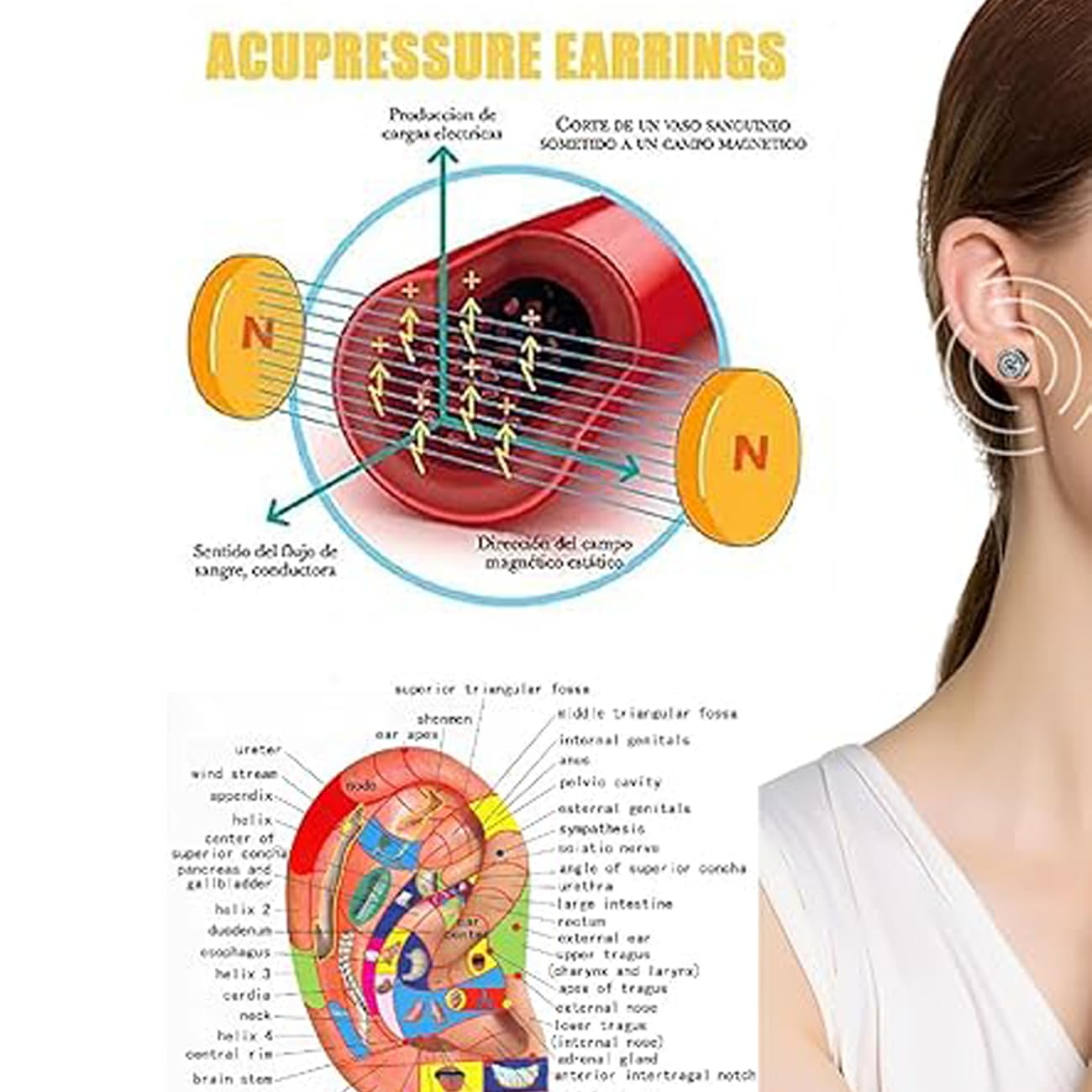 Lymphatic Earrings, 2 Pairs Histone Lymphvity Magnetotherapy Germanium Earrings Gold Silver Hypoallergenic Unique Elegant Hoop For Women Men Jewelry Gift (Gold and Silver)
