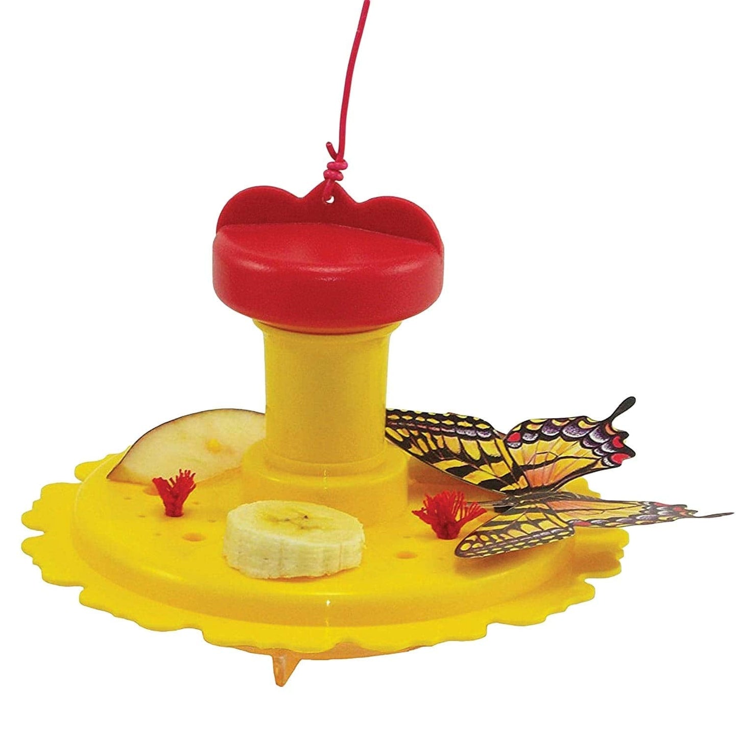 Songbird Essentials SE78215 Butterfly Feeder/Nectar Combo (Set of 1)