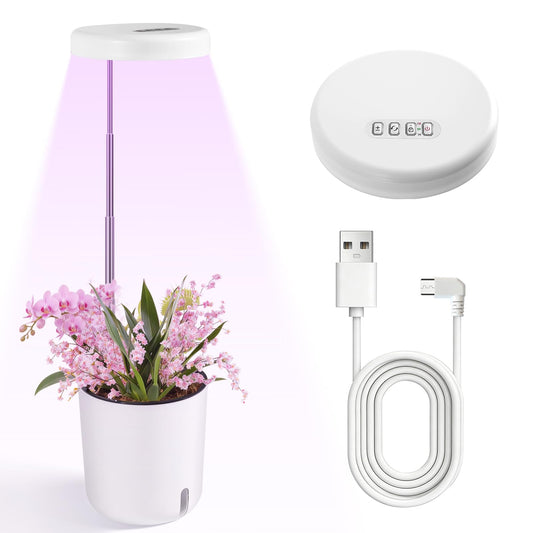 Raygrov Self-Watering Planter with Grow Light, Smart Indoor Pot for Venus Fly Trap, Carnivorous Plants, African Violet, Cat Grass, Catnip & Herbs, 2-in-1 Wall + Desktop, USB 5W Full Spectrum LED