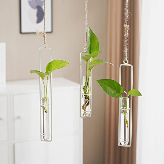 AQRICHFOX 3 Pieces Hanging Plant Glass Test Tubes Hydroponic Vase Planters Wall-Mounted Terrarium Container for Indoor Outdoor Home Decoration (White)