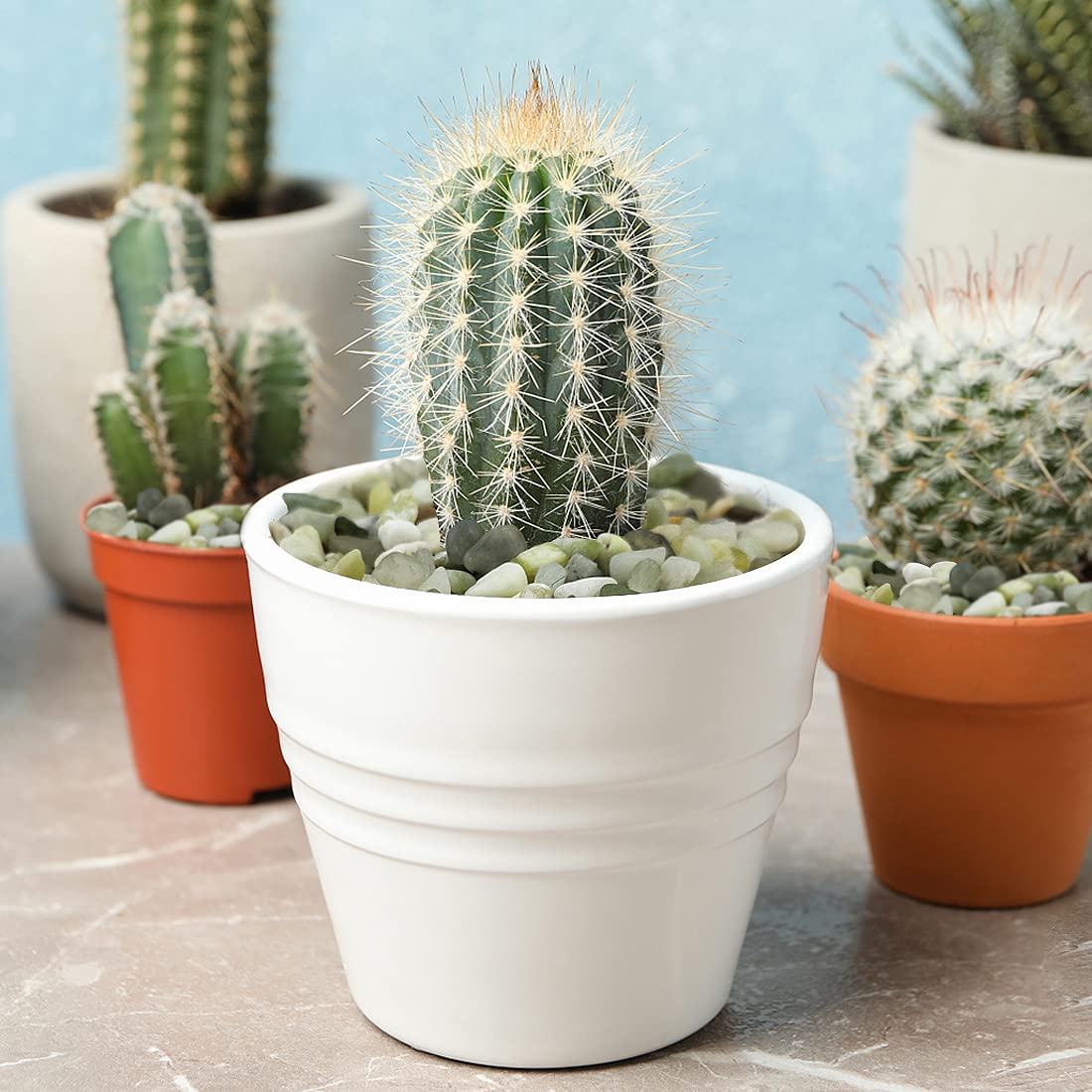 YISZM 5LB Succulent and Cactus Jade Pebbles, 3/8 Inch Natural Decorative Polished Stones, River Rocks for Indoor Plants, Vases, Planters and Outdoor Gardening