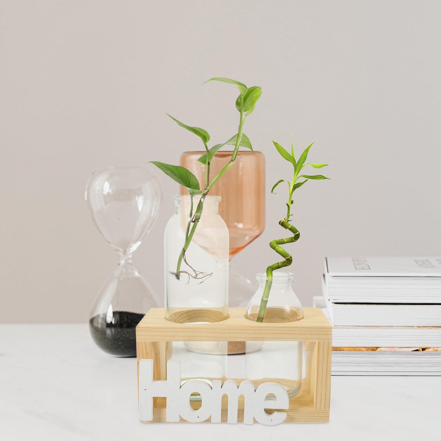 LALAFINA Nordic Style Hydroponic Plant Holder Glass Vase with Wooden Stand, Indoor Desktop Planter Terrarium for Home Garden Décor, 2pcs