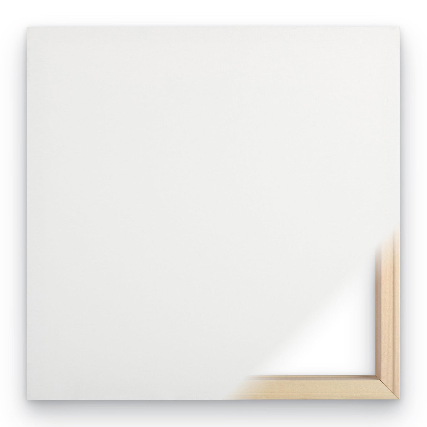 Wrapped Canvas Wall Art - Gail Fraser 'Very Fishy Indeed - Horizontal Panel 6' Wall Art for Living Room, Bedroom, or Office Décor - 8x24
