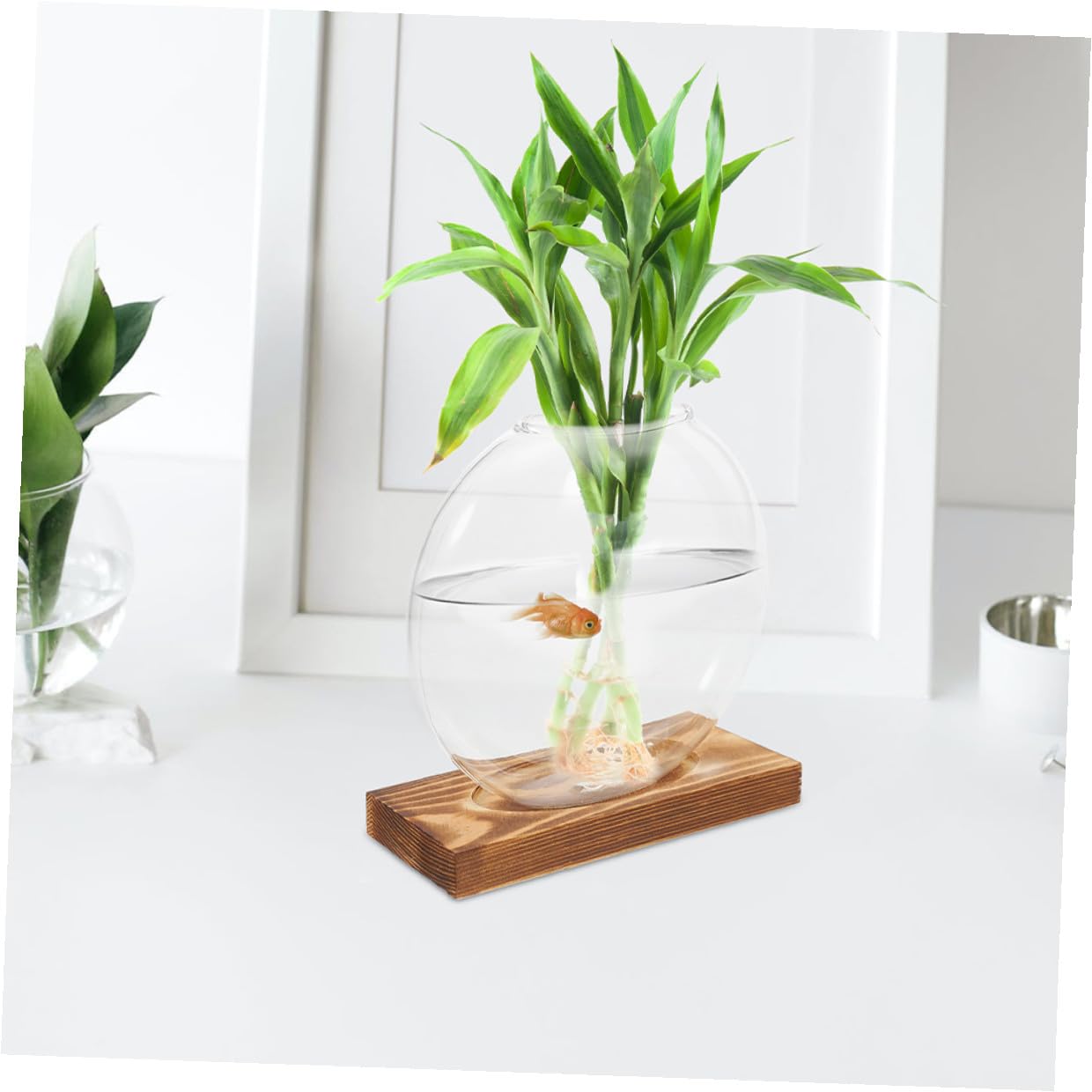 QUMIIRITY 2Pcs Hydroponic Glass Vase with Wooden Base, Plant Propagation Station for Home Office Balcony, Retro Style Plant Terrarium Holders for Indoor Gardening