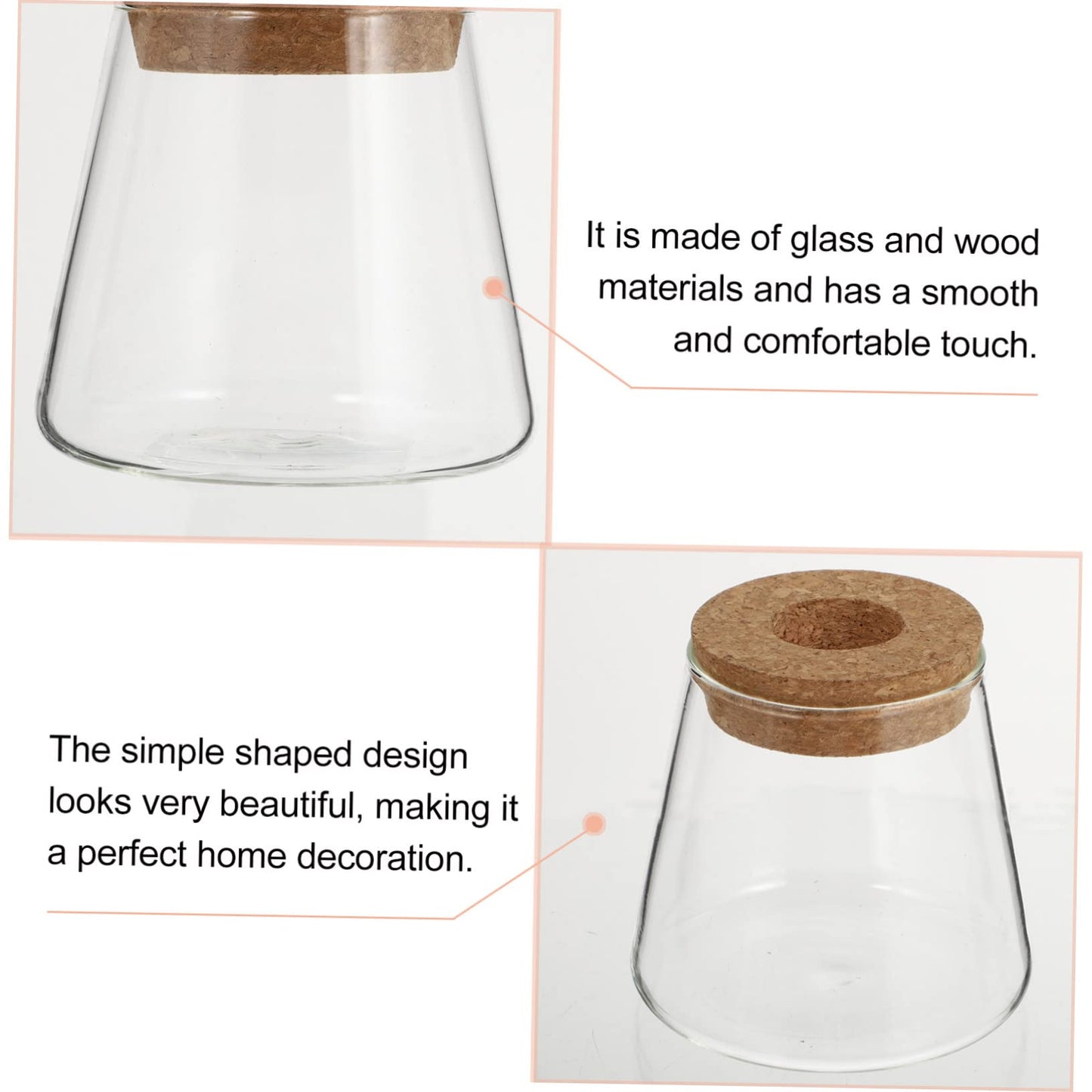 EPIGEIST 2Pcs Hydroponics Vase Planter Chic Desktop Glass Terrarium for Home Office Decor Plant Holder for Observation Growth Design