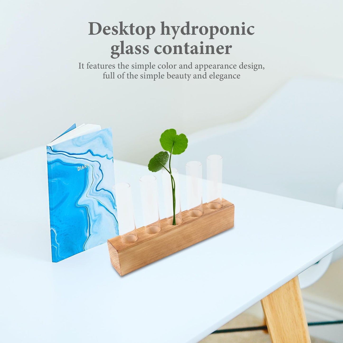 BESPORTBLE Hydroponic Glass Vase with 5-Hole Wooden Stand, Indoor Plant Terrarium for Desktop Decor and Air Plant Propagation, Creative Home Garden Holder