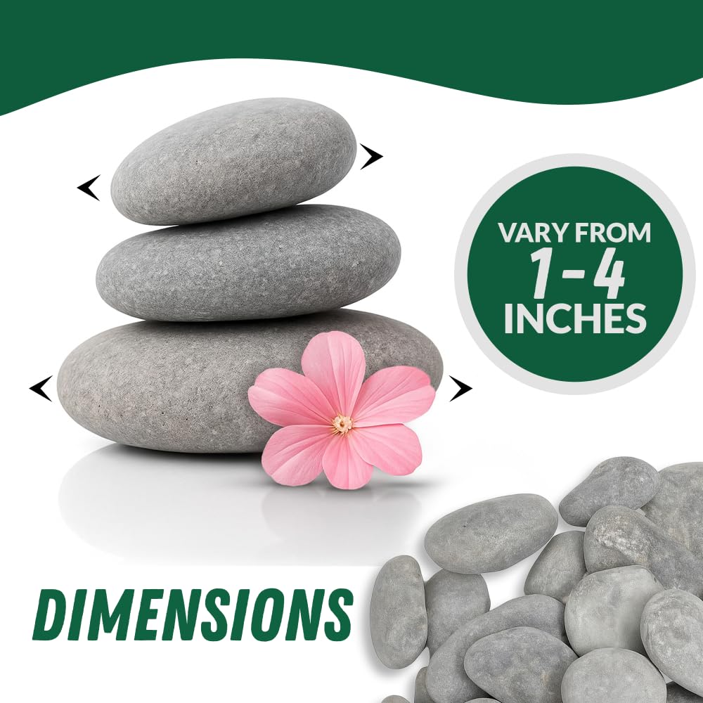 PGN 40 Large River Rocks for Painting - Stimulate Your Children’s Creativity with Our Painting Rocks for Kids - Flat and Smooth - Fun & Engaging Rock Painting with The Family - 2-4 Inches