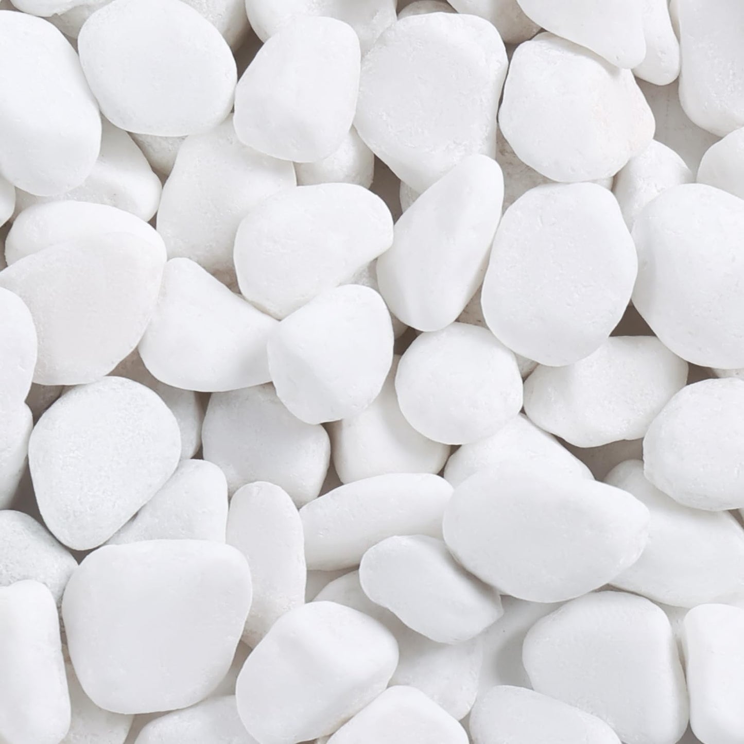 SIDONG 10 lbs White River Rocks, 1.2-2 Inches Pebbles for Indoor Plants, Aquarium Rocks Used in Fish Tank, Decorative Stones for Plants, Vases, Home Décor, Crafting, Garden Landscaping