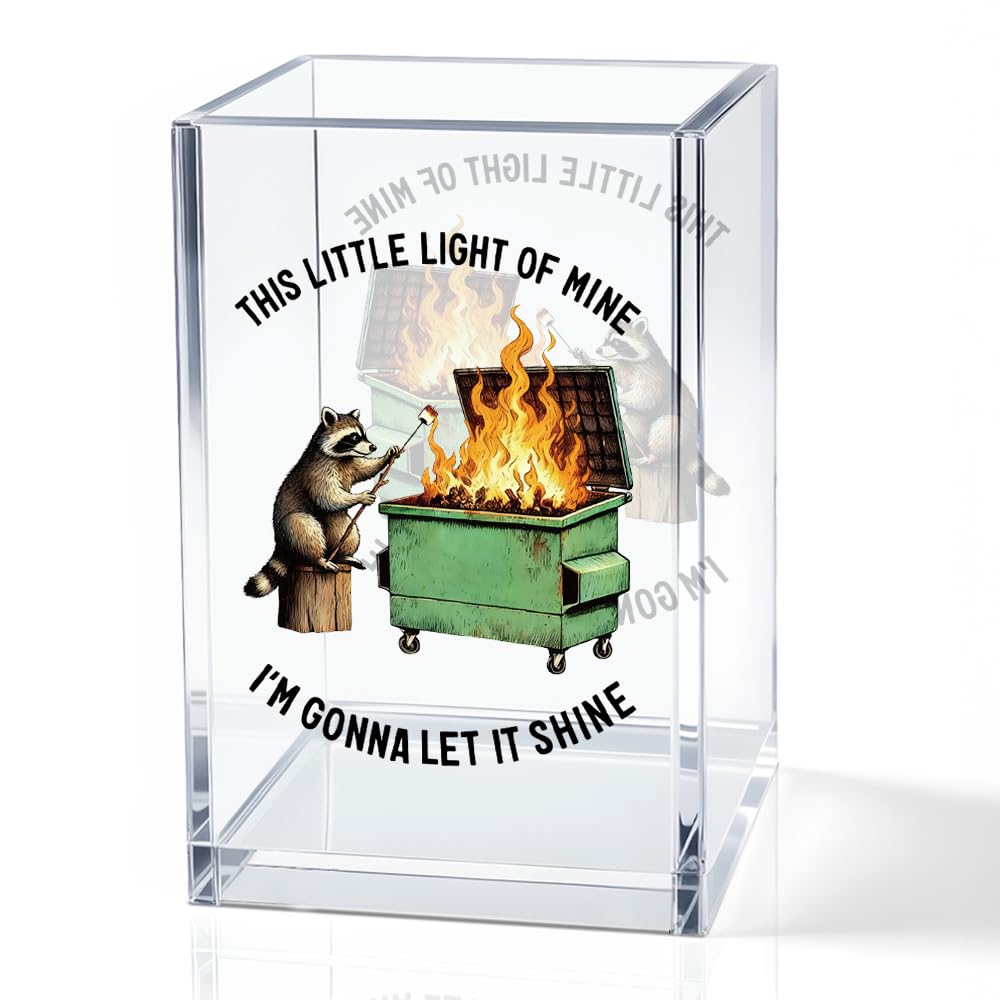QYUVK This Little Light Of Mine I'm Gonna Let It Shine Acrylic Cosmetic Pencil Holder Cup, Funny Raccoon Dumpster Fire Pen Holder Gifts For Women Men Friends HR Doctor, Office Gifts for Coworkers