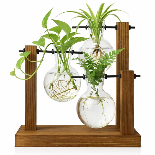 Plant Propagation Station with Glass Propagation Vases, Plant Propagation Jars in Wooden Stand, Hydroponic Vase for Plant Cuttings, Decorative Propagation Station for Home Desk Office