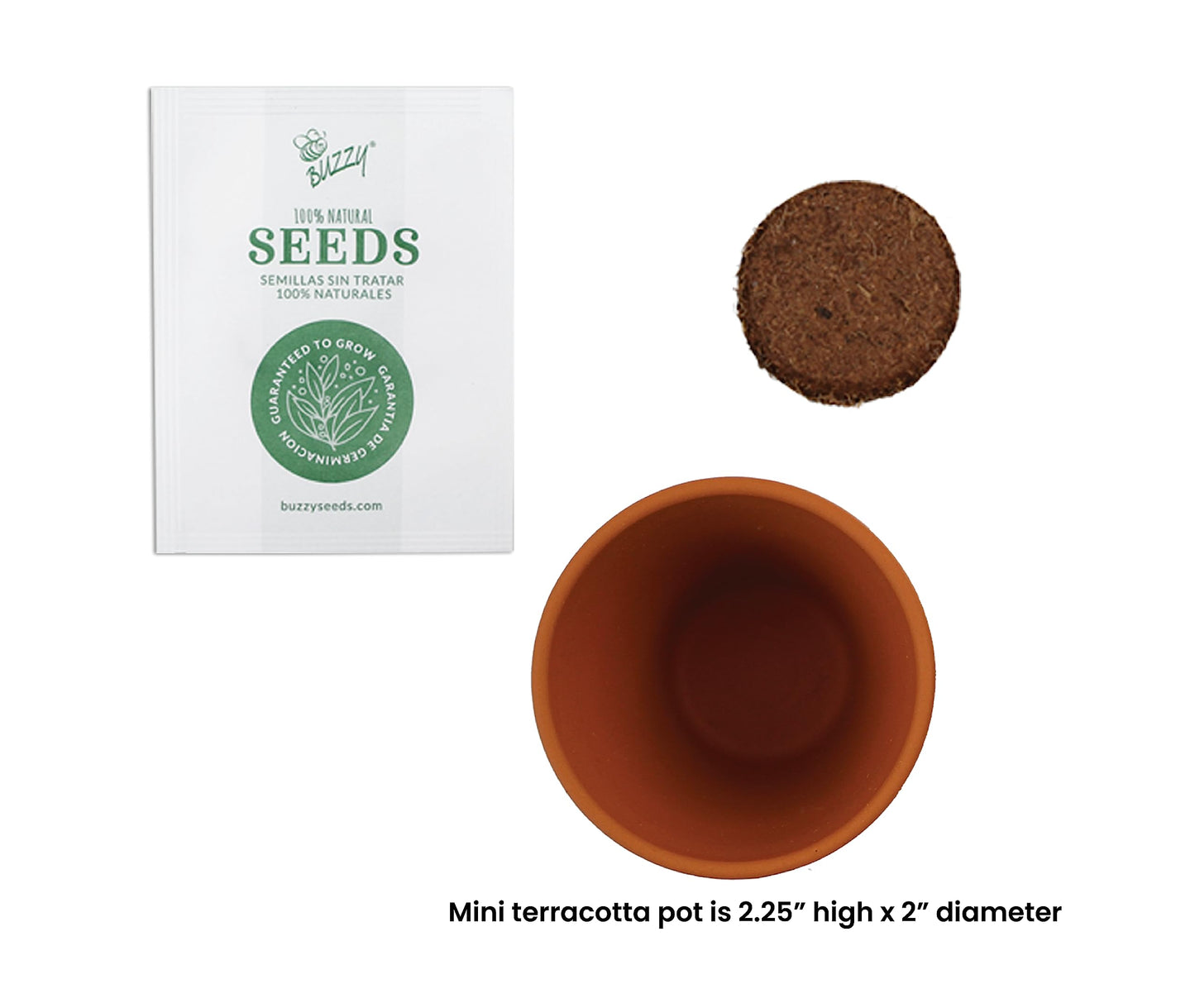 BUZZY Seeds Terracotta Mini Grow Pots – Herb Flower Plant Starter Kit Assorted 20-Pack with Lavender Seeds, Indoor Grow Your Own Gardening Gift for DIY Projects and Party Favors