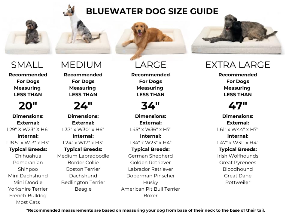 Bluewater Dog Luxury Boucle Orthopedic Memory Foam Dog Bed with Waterproof Liner and Machine Washable Cover with YKK Zippers (Large, 45" L x 36" W x 7" Th, Cloud)