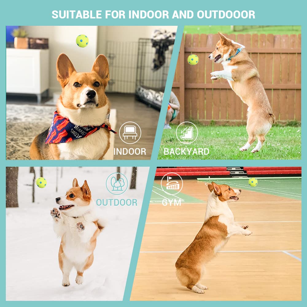 Greenvine Automatic Dog Ball Launcher Interactive Ball Thrower Fetch it Machine for Dogs with 6 Durable High Elasticity Latex Balls Included