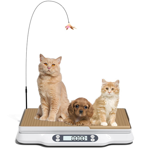 LFGKeng Digital Small Animal Scale, Pet Weight Scale with Cat Scratcher, Capacity up to 66 lb, Measure Accurately, Tray Length 16in, Multifunction Digital Weighing Scale for Pet, Baby, Kitten, Puppy