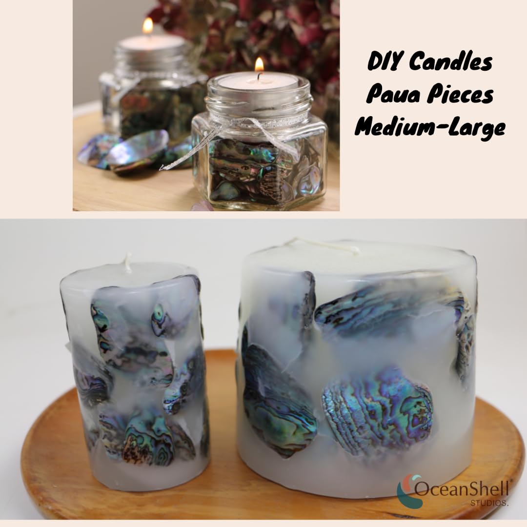 Abalone (Pāua) Shell Pieces-7.05oz Pack-for Crafts, Jewelry Making, Resin Art, Inlay, Home Decorations, Fishtank Supplies, DIY Projects - Satin, Small Size .60"- .98" (15-25 mm) 7.05oz (200grams)