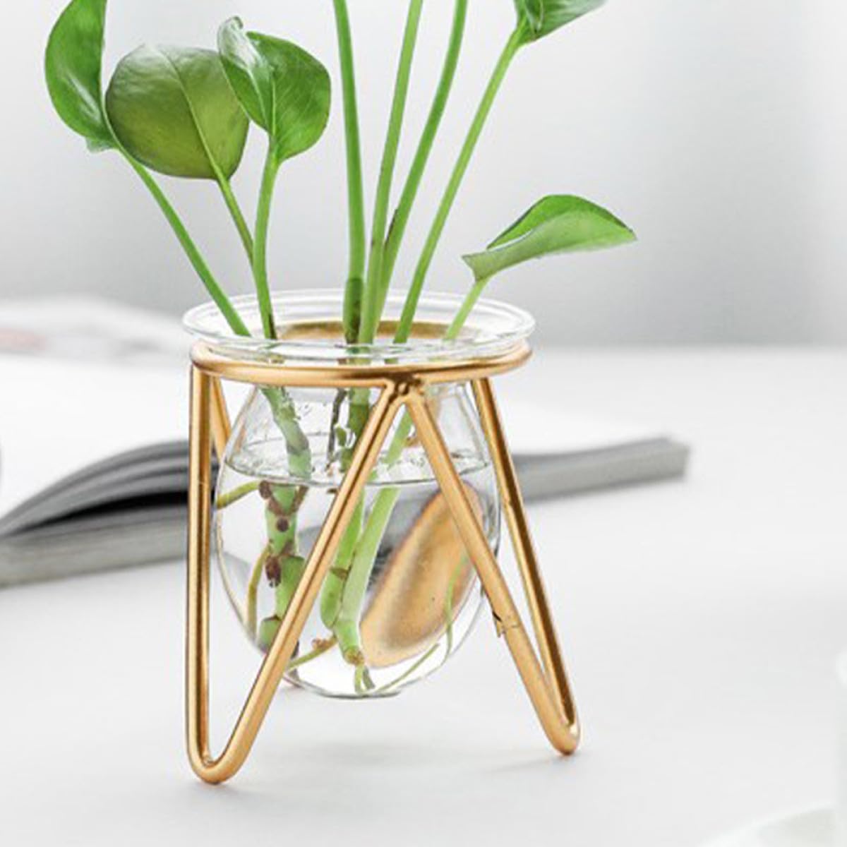 NULYLU Glass Flower Holder with Metal Stand, Small Gold Hydroponic Plant Pot Terrarium Vase for Desk and Office Decor, Decorative Succulent and Green Plant Container
