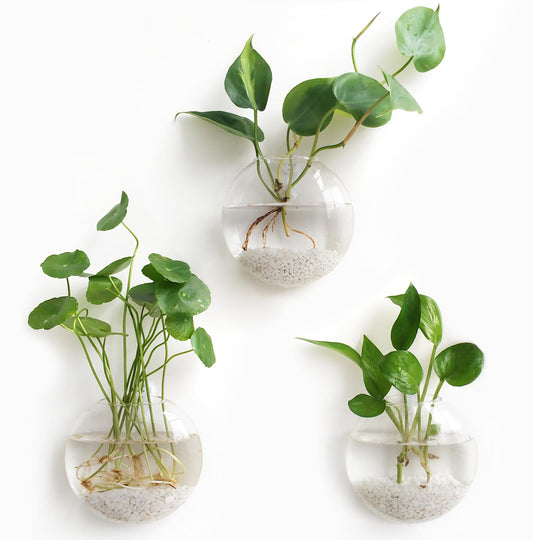 Mkono Wall Hanging Planter Propagation Station Glass Flower Vase for Hydroponics Plants, Bathroom, Home Office Living Room Decor Gift, Oblate Set of 3(Plants not Included)