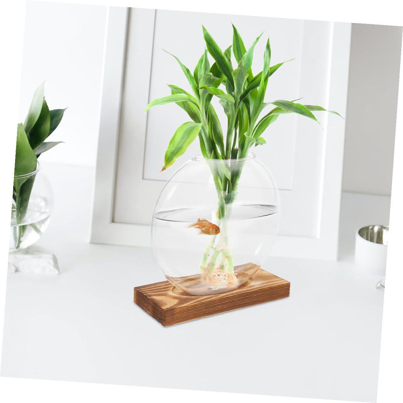UPKOCH 2pcs Hydroponic Glass Vase with Wooden Stand, Desktop Planter for Indoor Water Plants and Plant Propagation, Contemporary Glass Flower Pot for Home and Office Decor