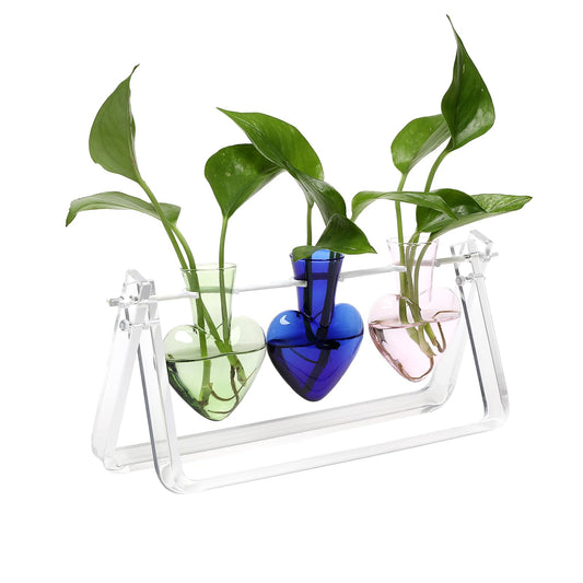CYZglass Clear Plant Terrarium Propagation Stations with Acrylic Stand Birthday Gifts for Women Office Home Decor