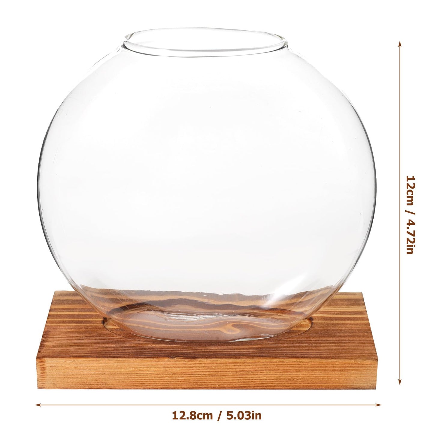 TOKIDNY Glass Plant Vase with Retro Wooden Base for Hydroponic Green Vine Propagation, Home and Office Decorative Flower Bottle Terrarium, Desktop Hydroponic Planter for Living Room